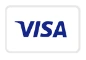 VISA payment icon